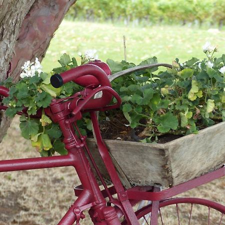 L'Alambic De L'Estuaire Bed & Breakfast Saint-Fort-sur-Gironde Екстериор снимка