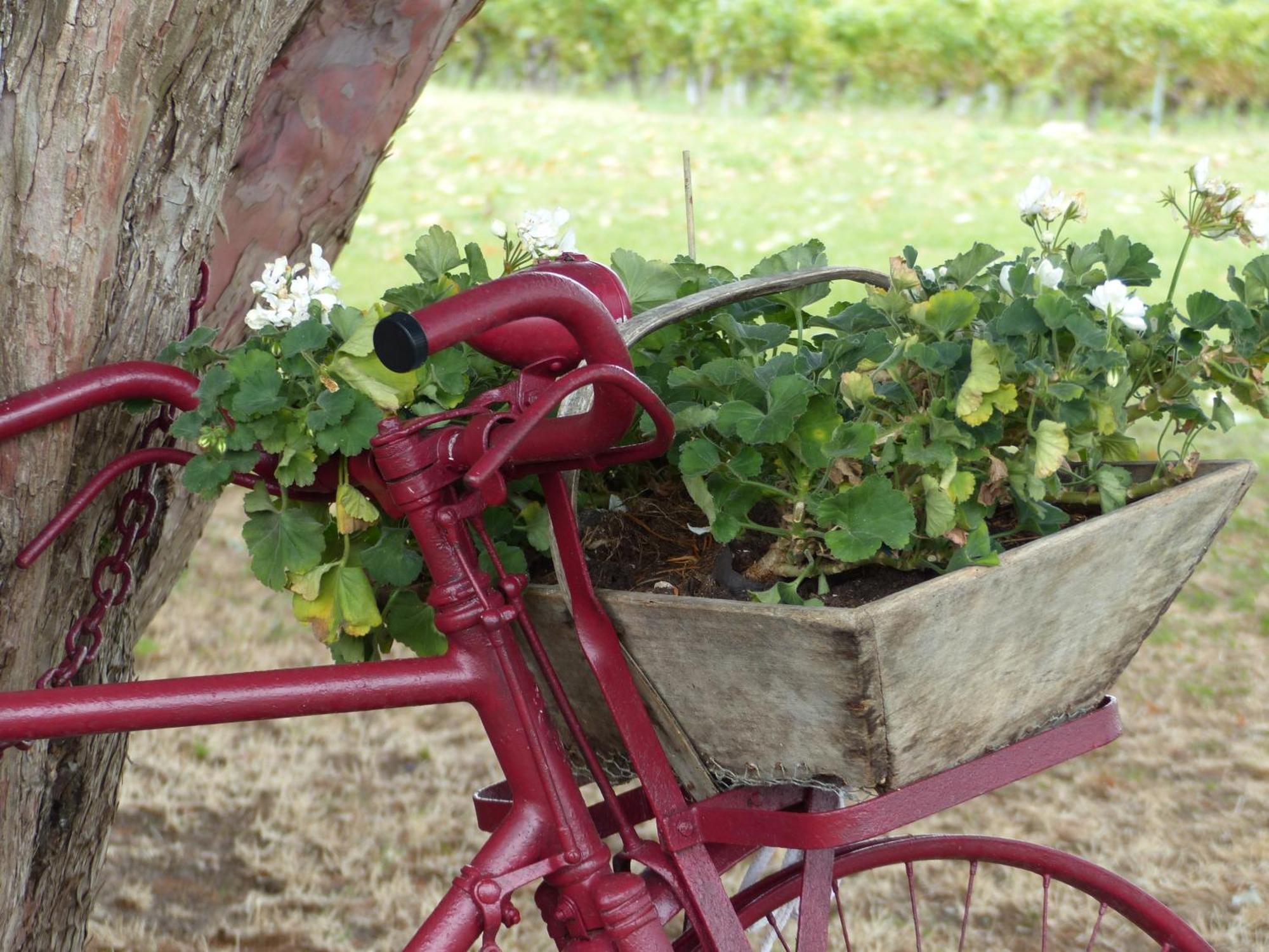 L'Alambic De L'Estuaire Bed & Breakfast Saint-Fort-sur-Gironde Екстериор снимка